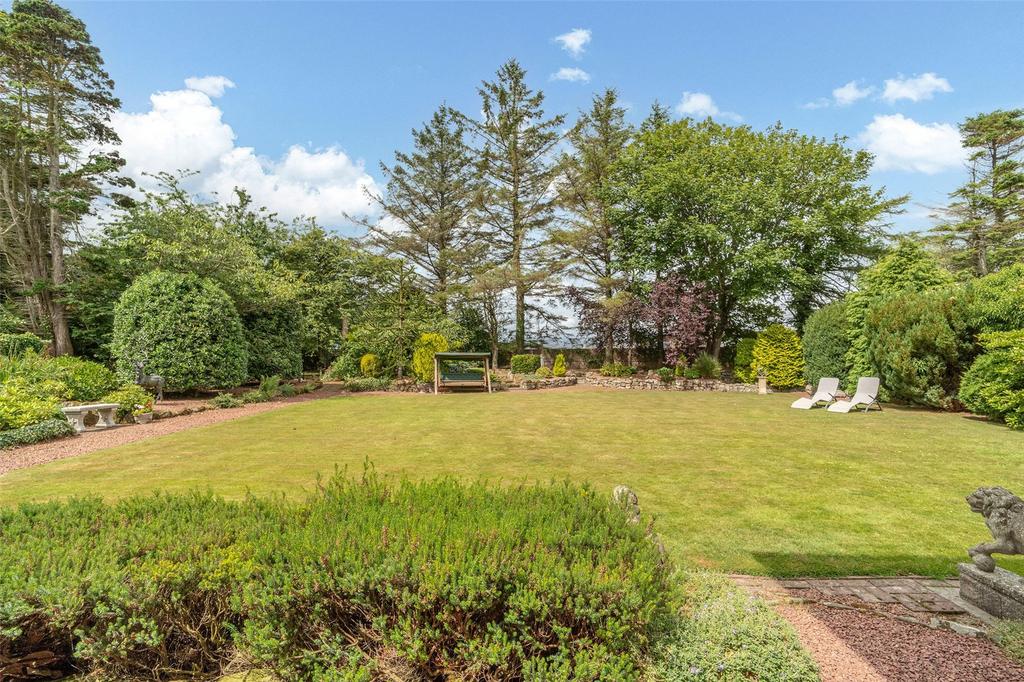 Back Garden