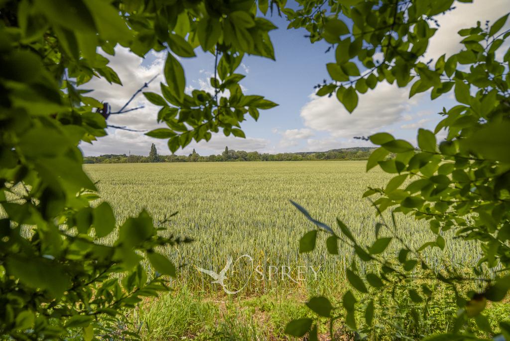 Countryside Views