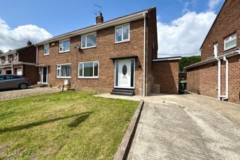 100 Thorntree Gill, Peterlee, SR8 4SP