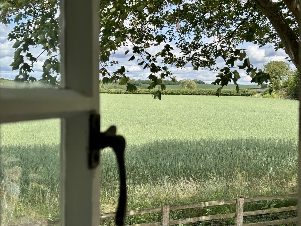 Bedroom View