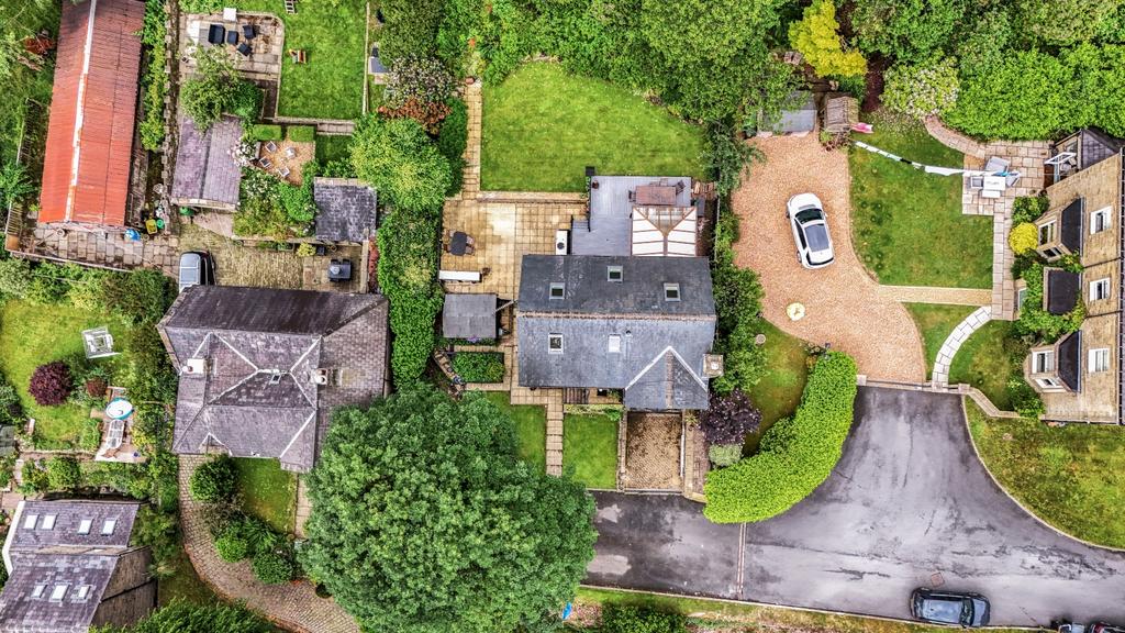 Ariel View