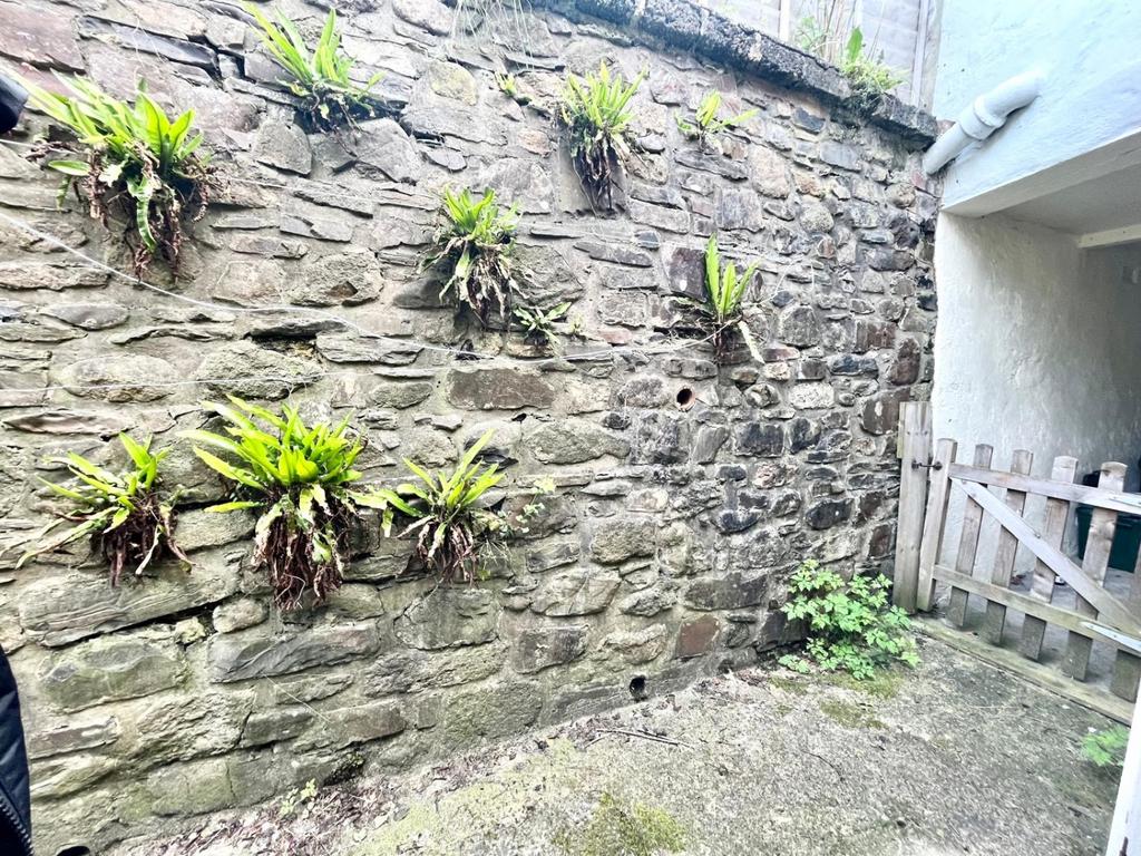 Image2