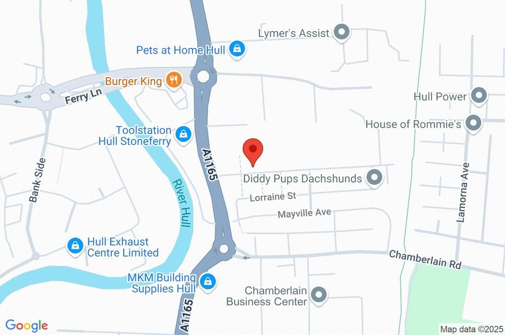 Google Maps Image