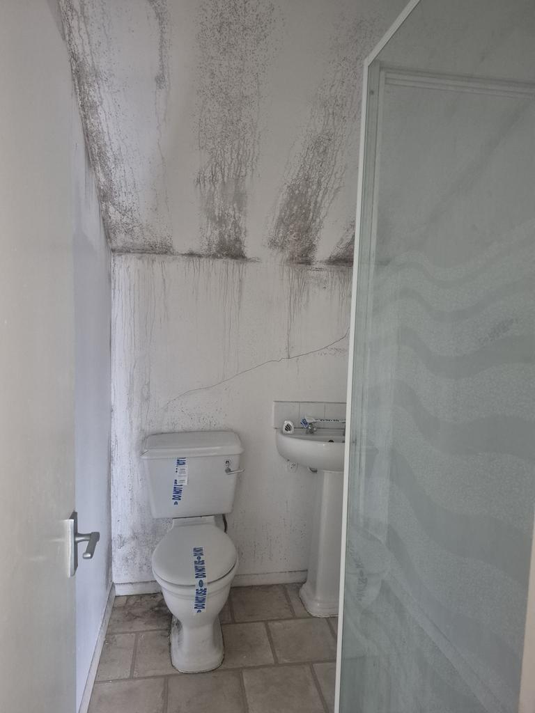 3 T202505191635.jpg