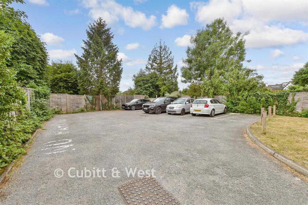 Driveway/Parking