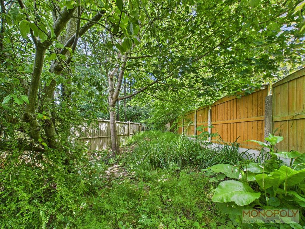 Rear Boundary/Orchard.jpg