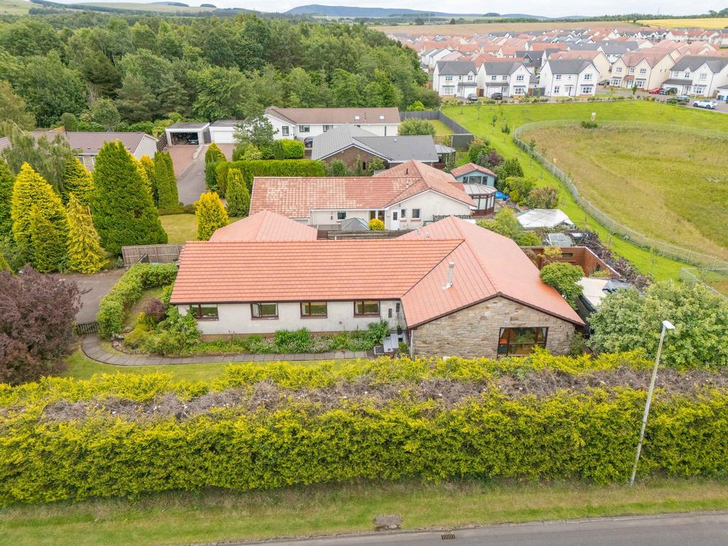 Aerial Shot