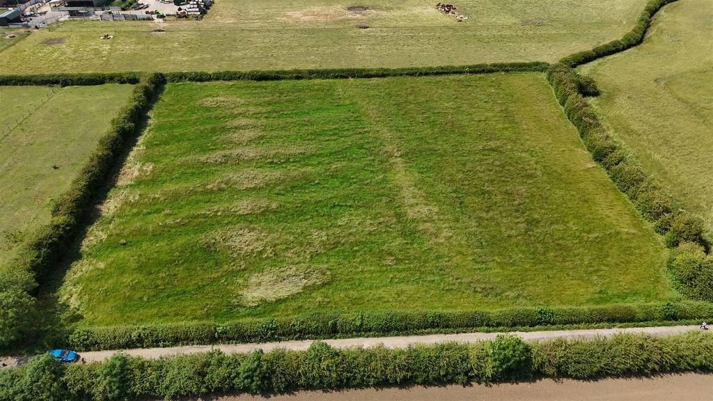 Dji 20250220194038 0795 d.jpg