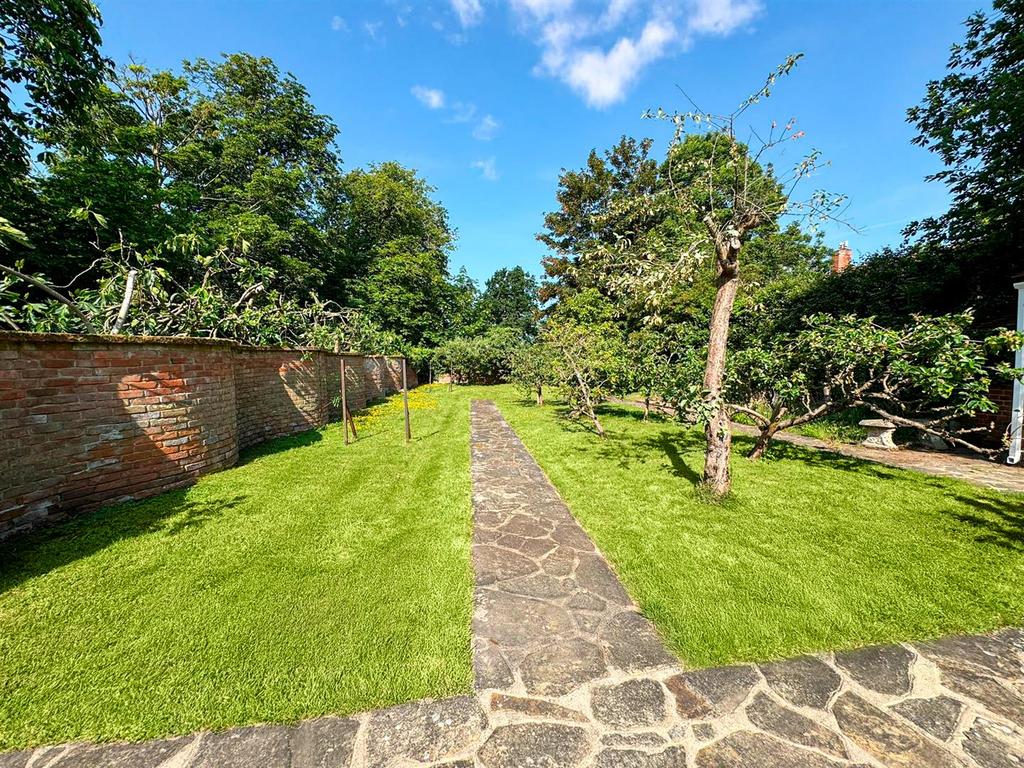 Kitchen Garden