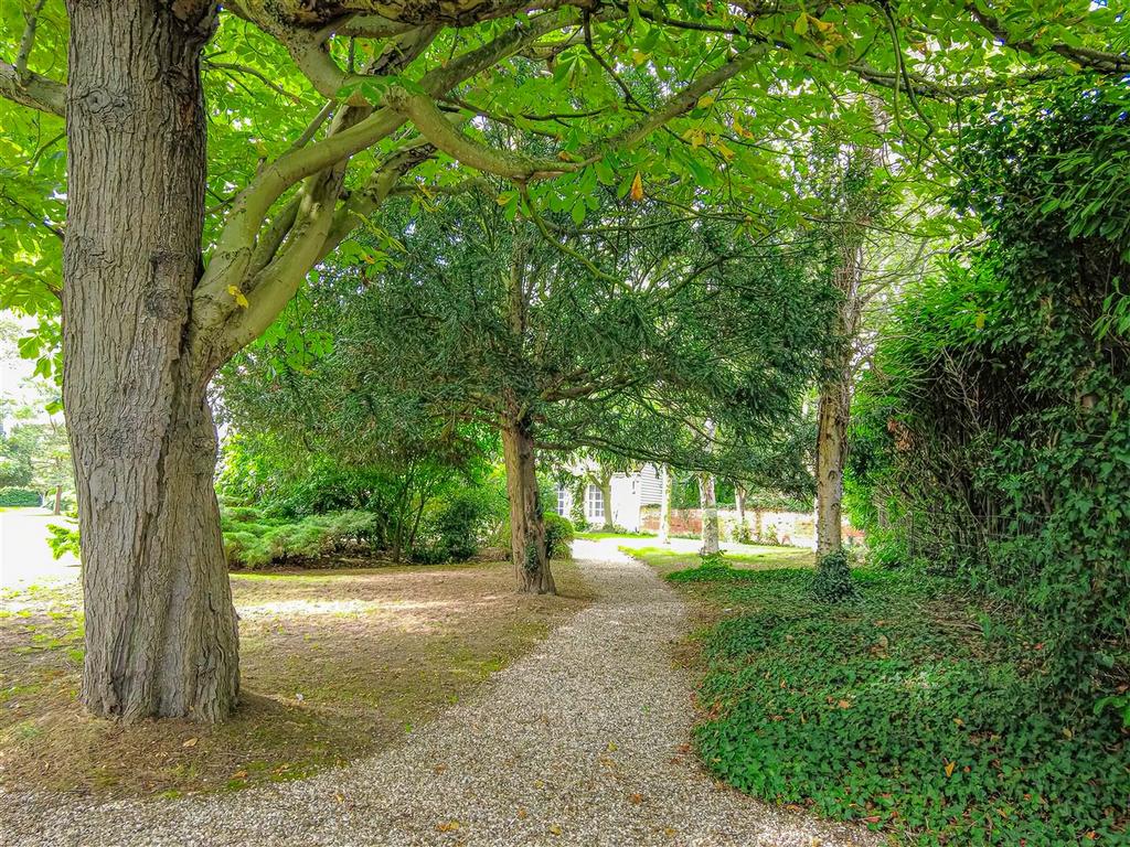 Woodland Area