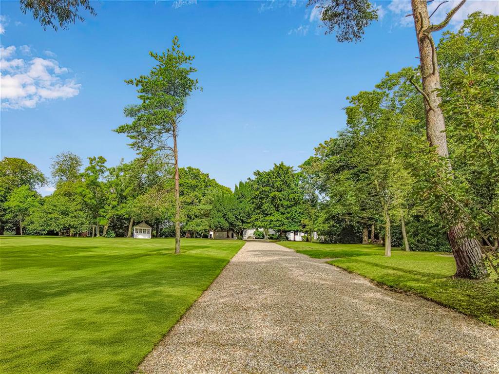 Driveway