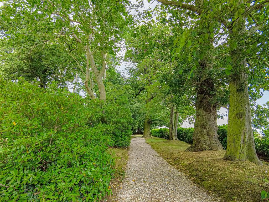 Woodland Area