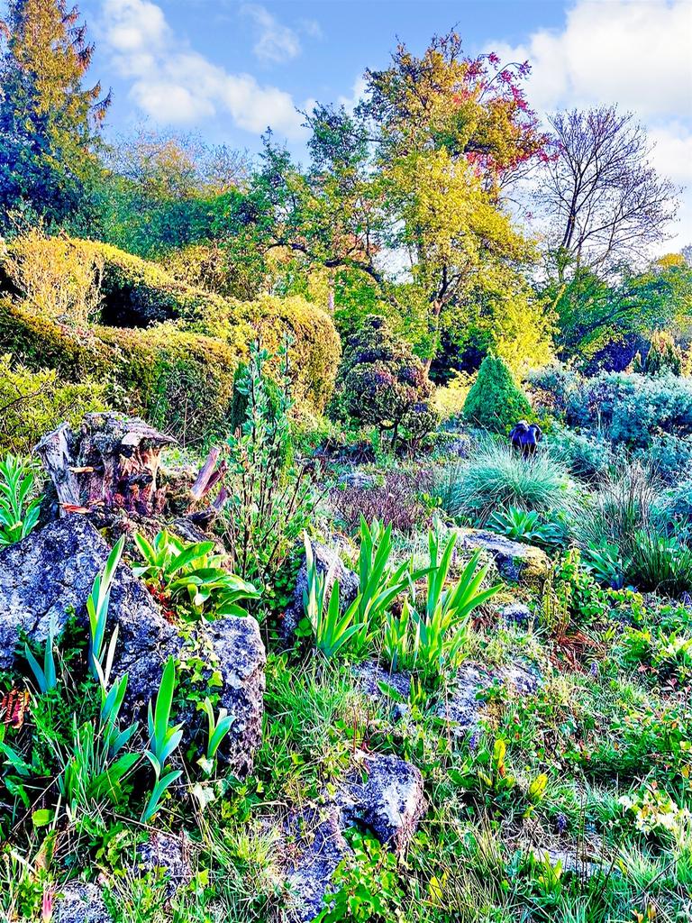 Rear Gardens