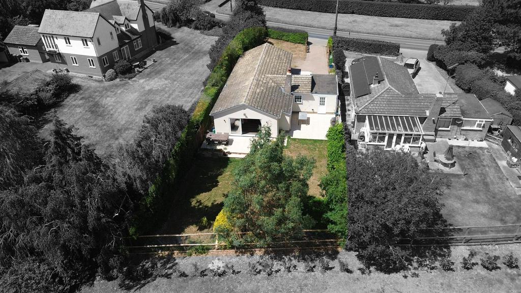 Garden view.JPG