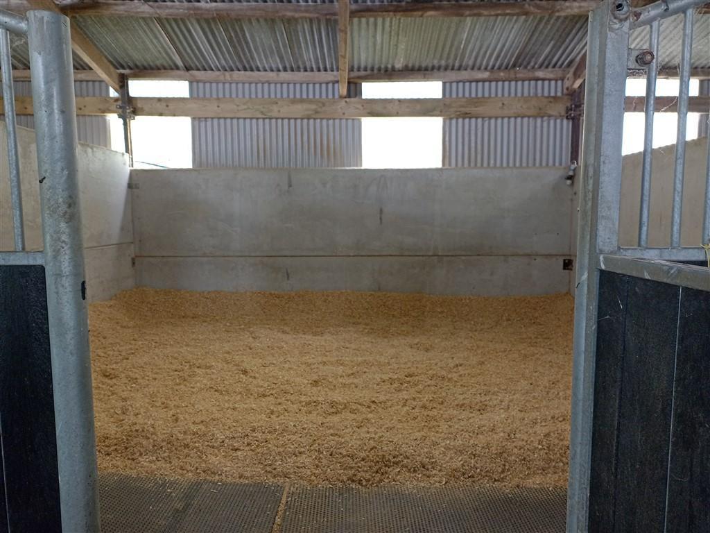 Inside View Of One Stable