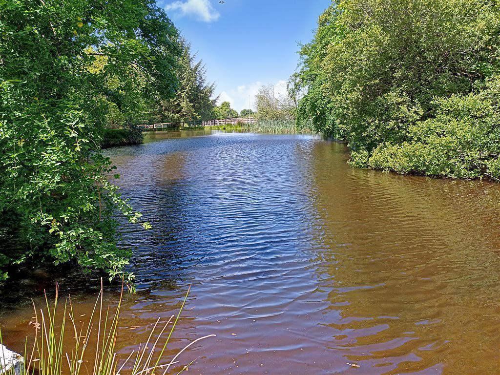 Another View Of Small Lake