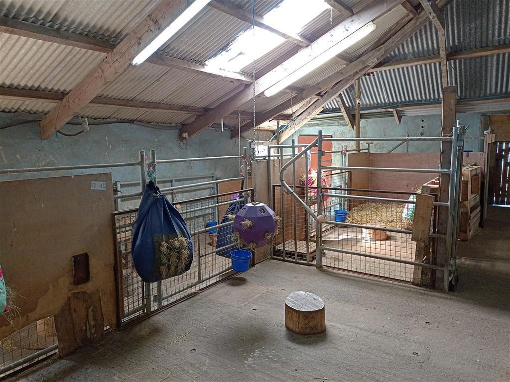 Goat Shed
