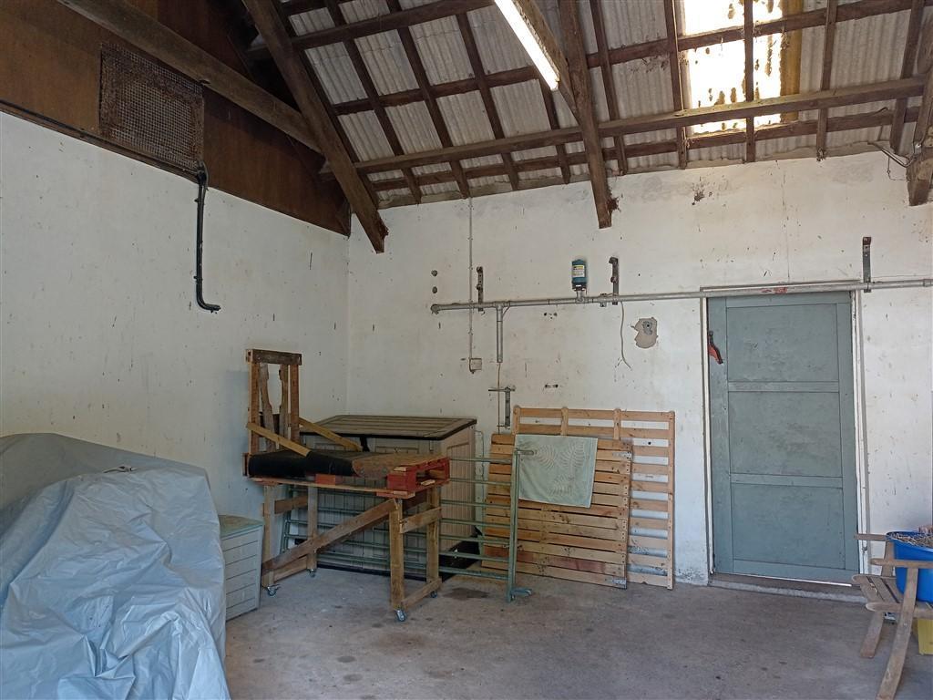 Storage Shed 1