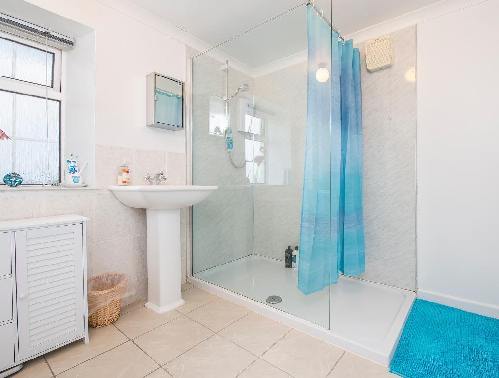 Shower Room - View 1