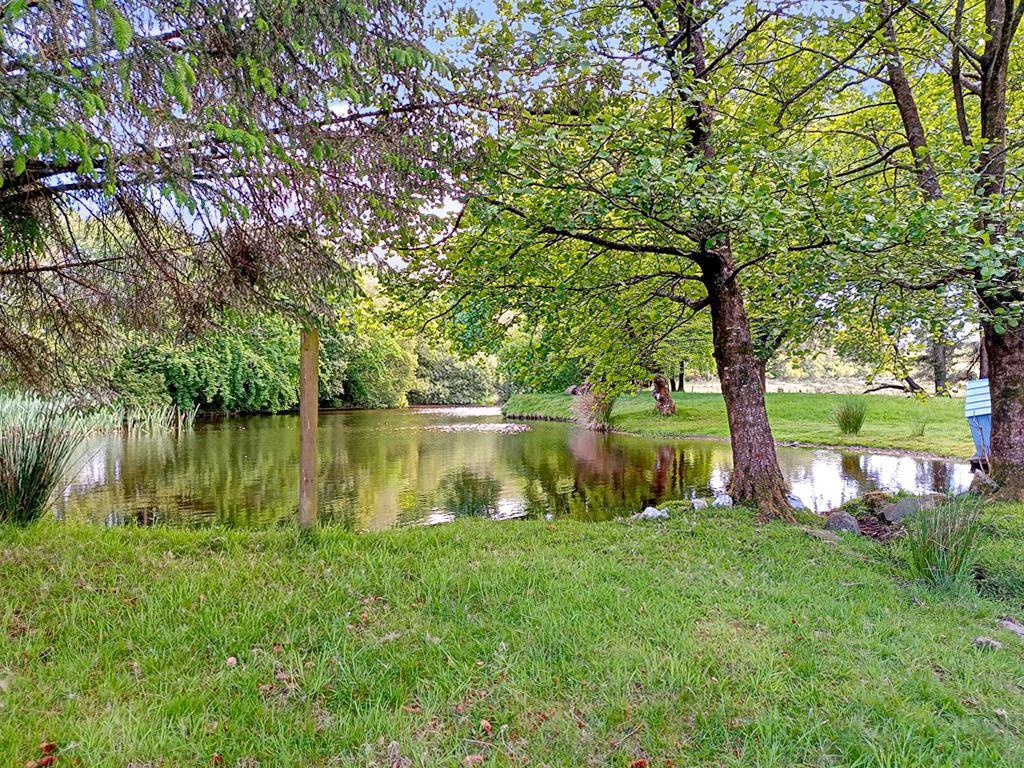Beautiful Small Lake