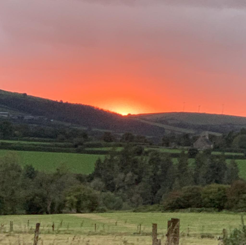 Sunset From The Property