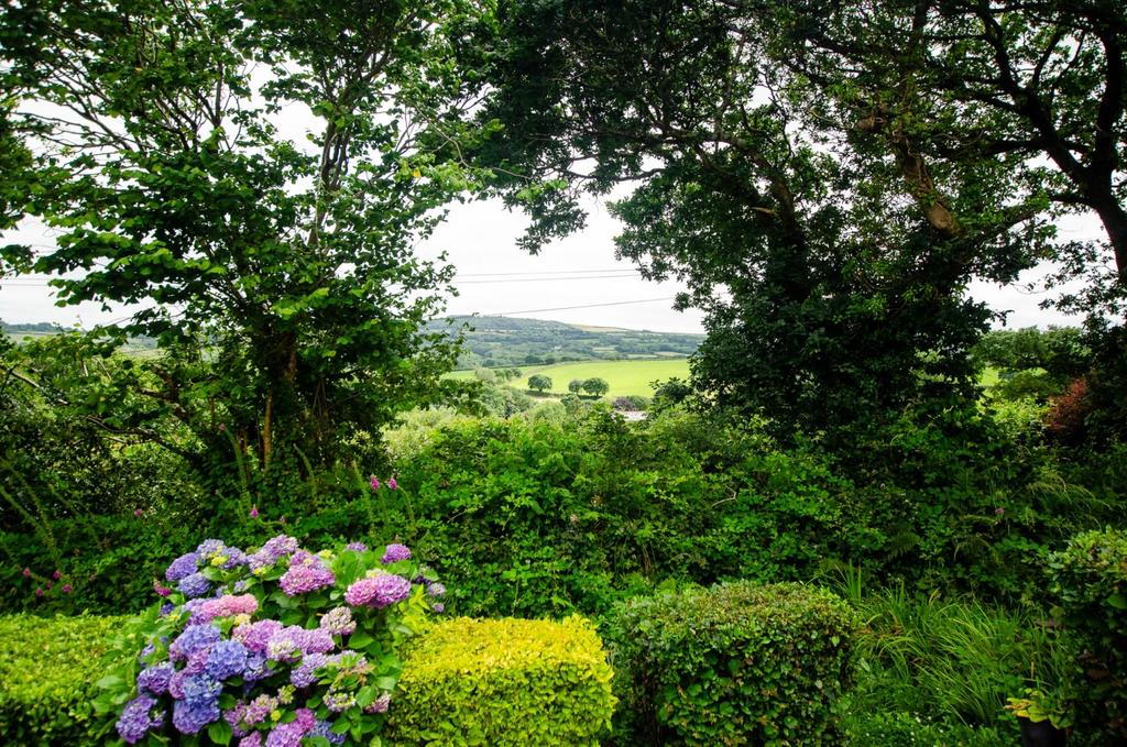 49 Kestell Park TPS Bodmin - 01208 74182-19