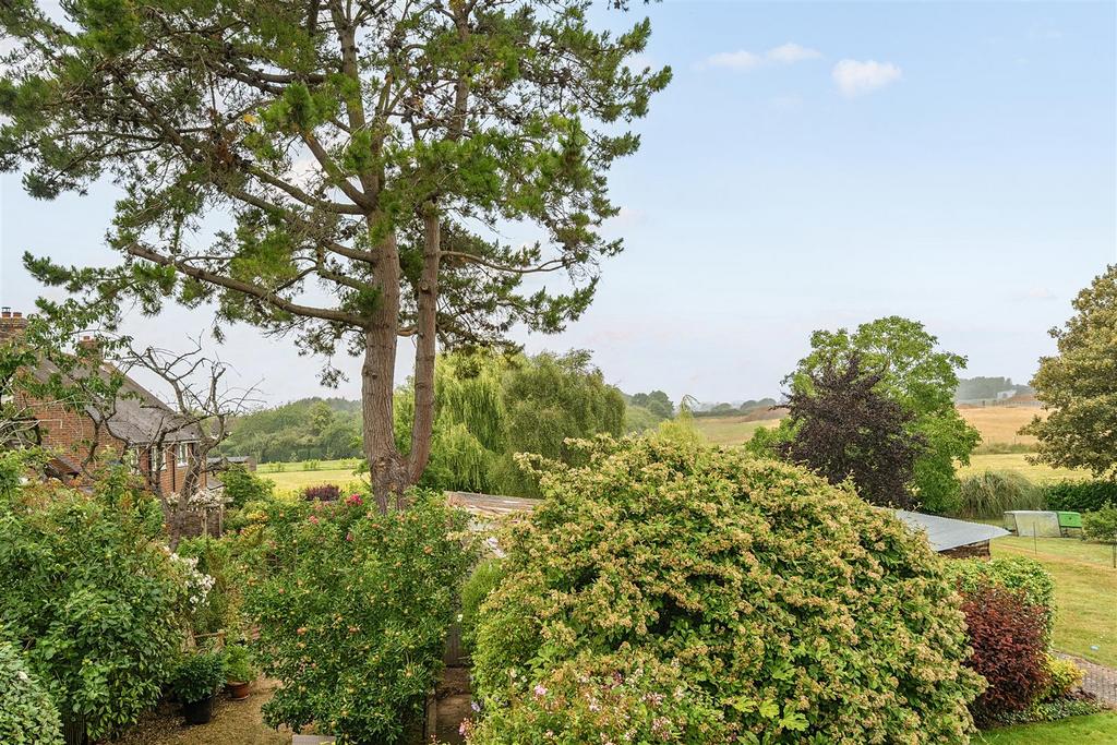View of Garden