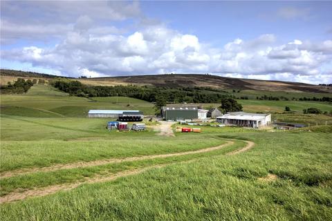 undefined, Lower Achnahannet, Dulnain Bridge, Grantown-on-Spey, Highland, PH26