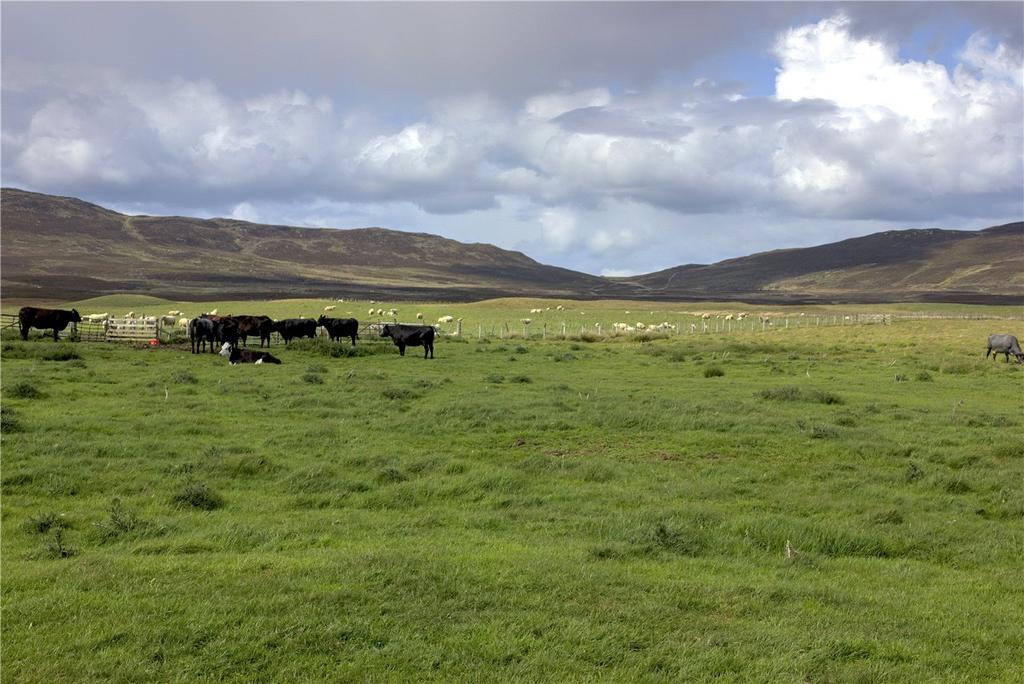 Lower Achnahannet