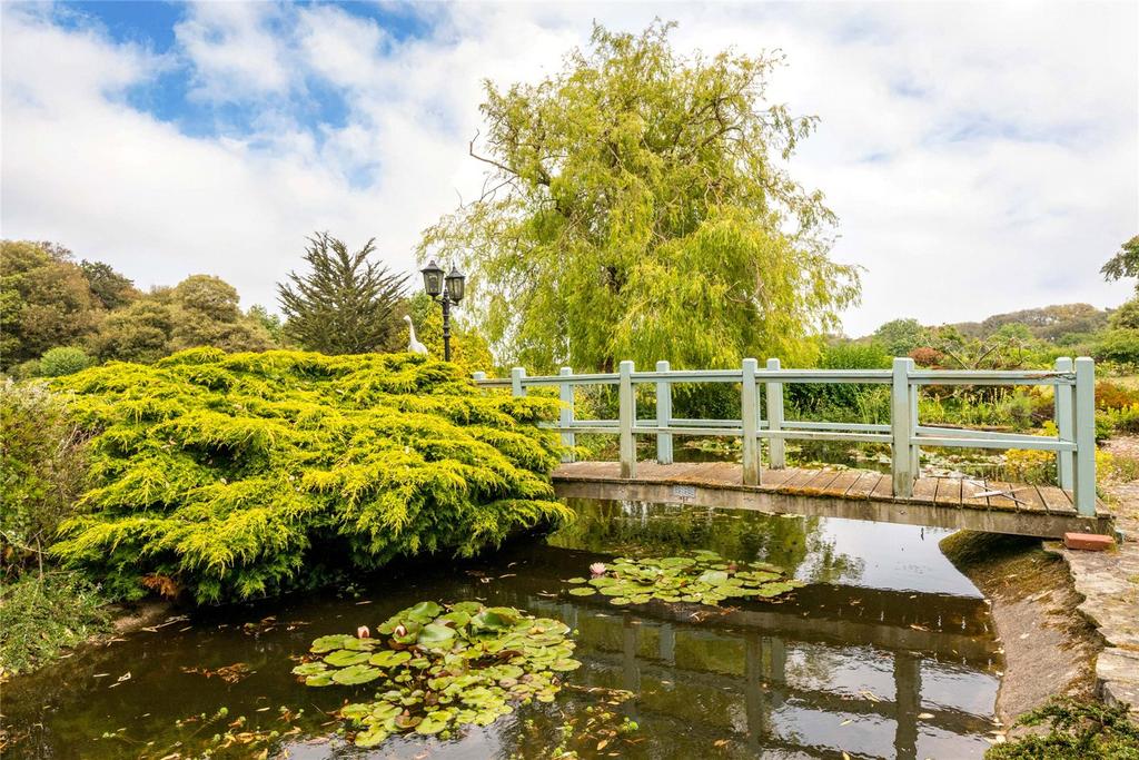 Pond