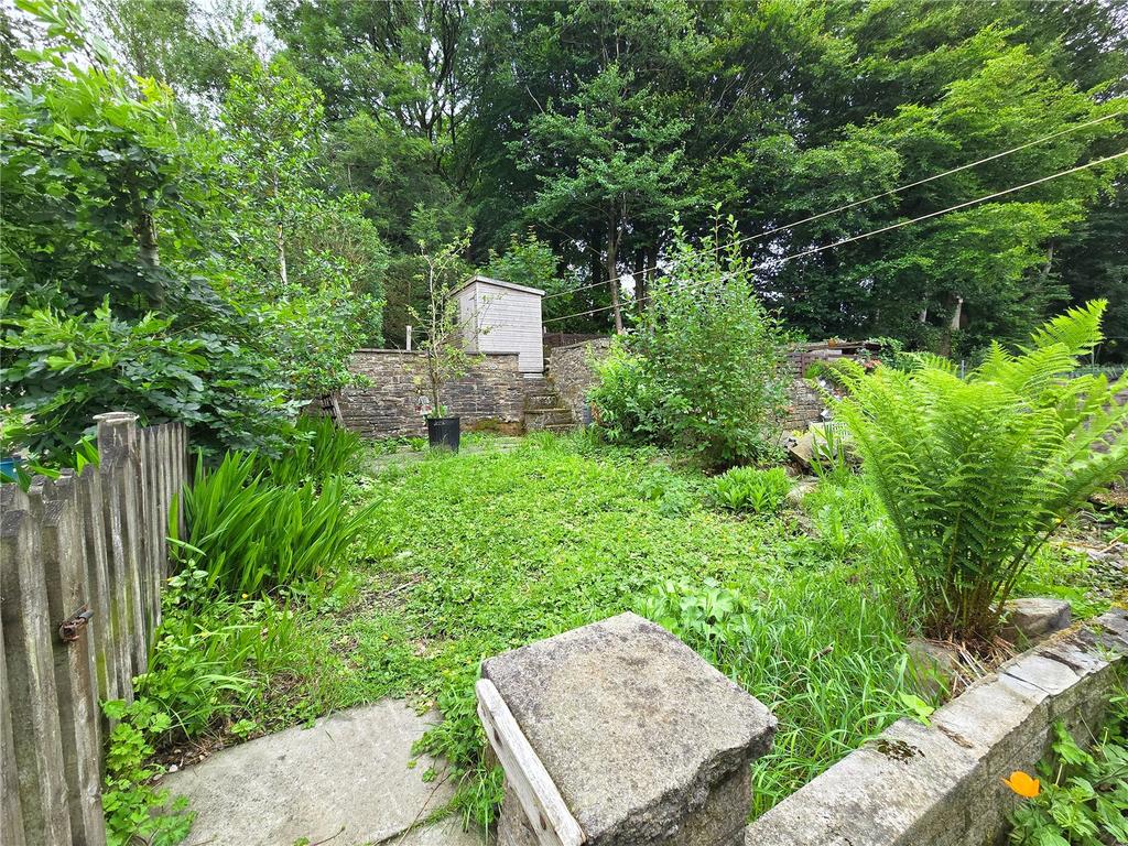 Rear Lawn