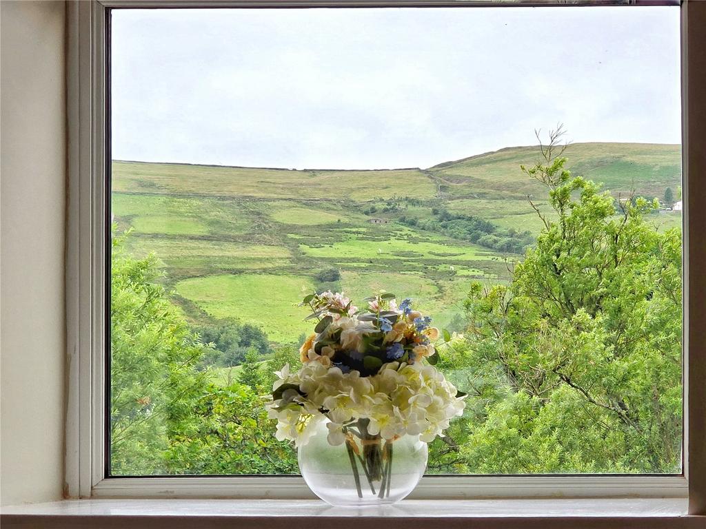 Valley Views