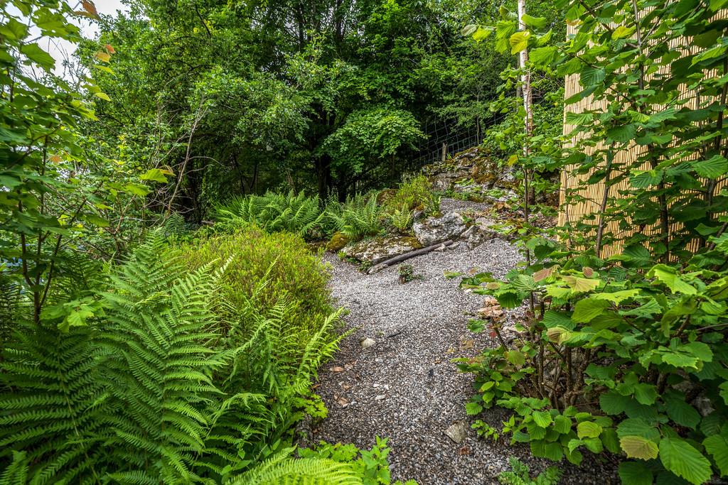Garden and Woodland
