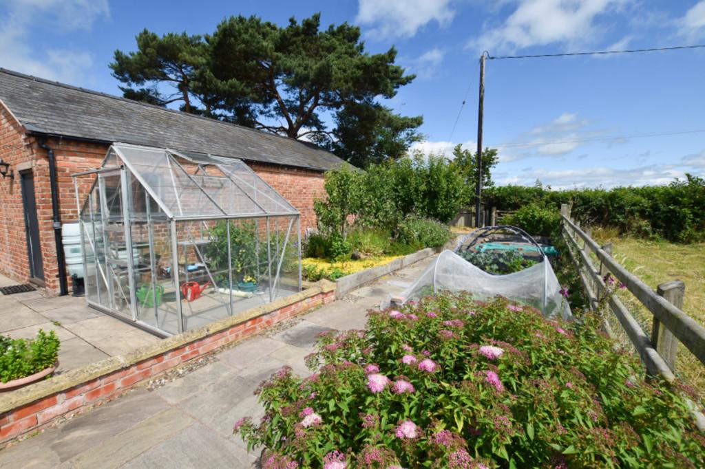 Kitchen Garden