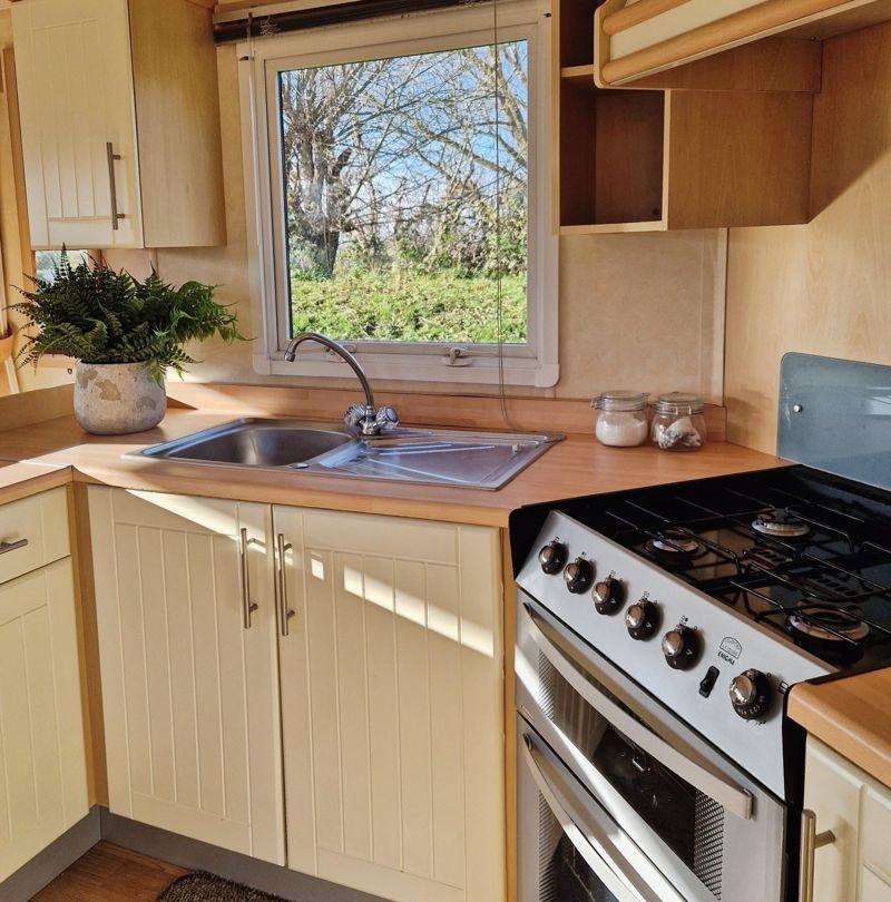 Willerby rio gold