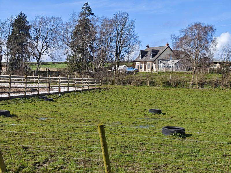 Photo 45