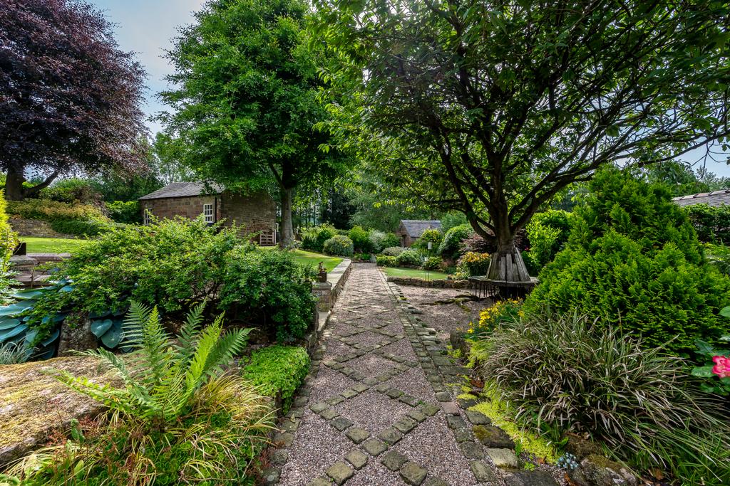 Rear Gardens