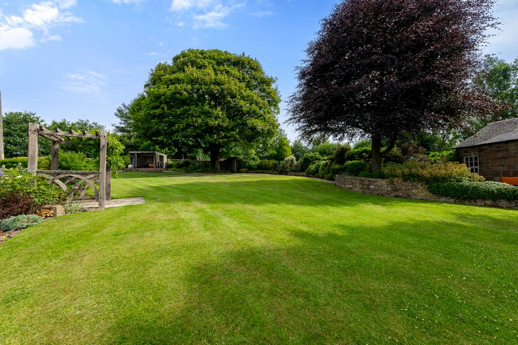 Rear Gardens