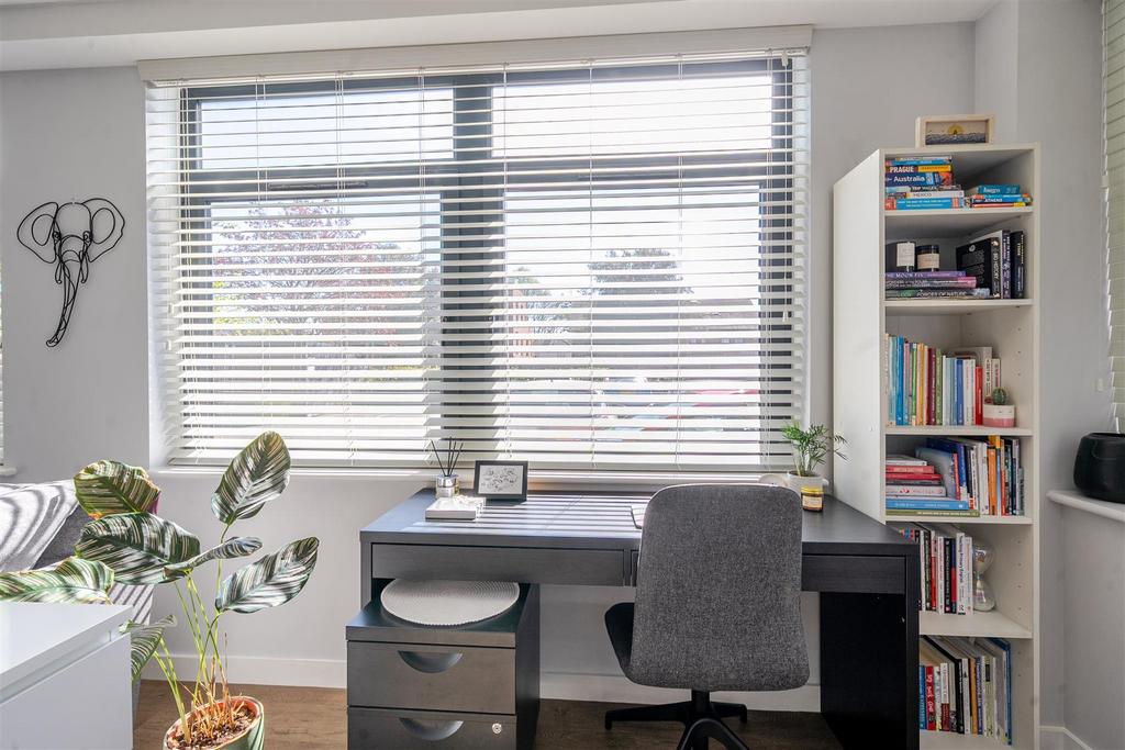 Study Area