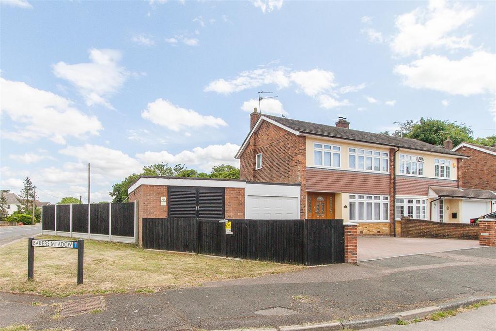 IMG 6447-23.jpg