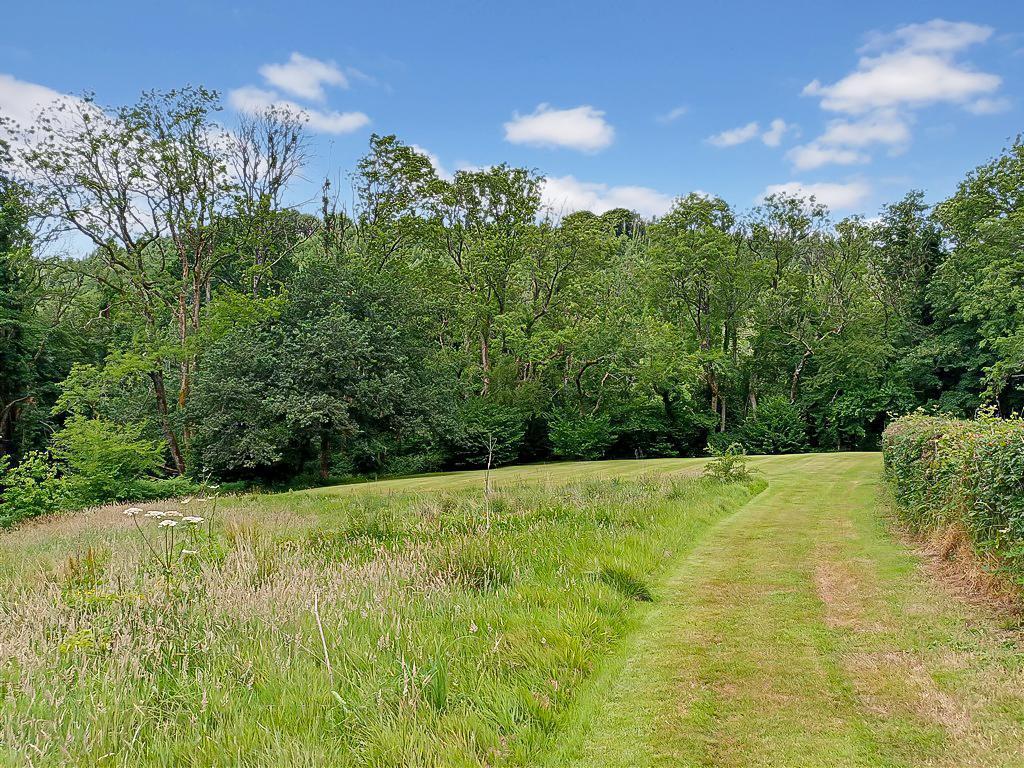 Meadow And Lawns