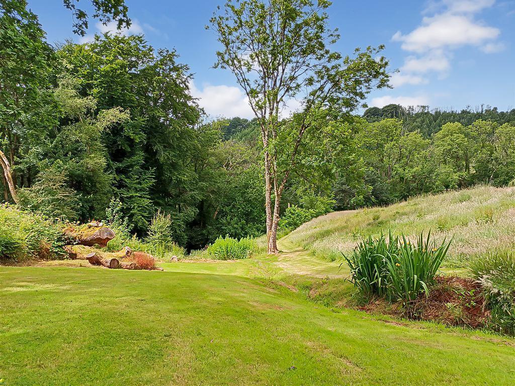 Beautiful Wooded Backdrop