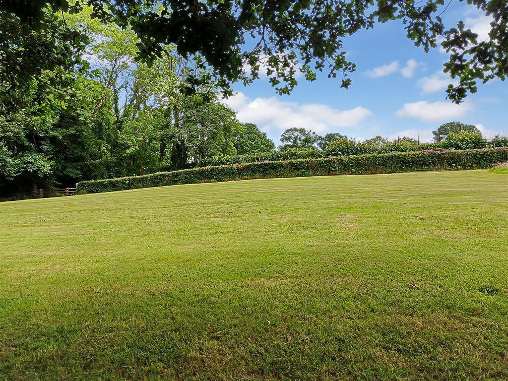 Large Lawns / Paddock Area