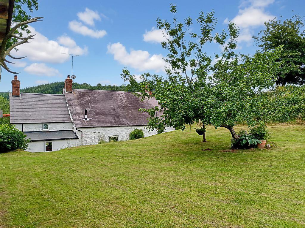 Rear View Of Property