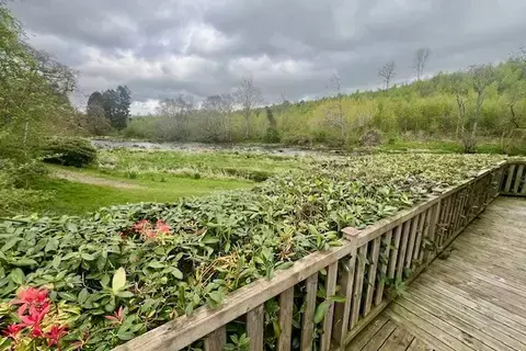 undefined, Lowther Holiday Park, Eamont Bridge CA10