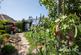 Additional image 19 of Bradenstoke SN15 4