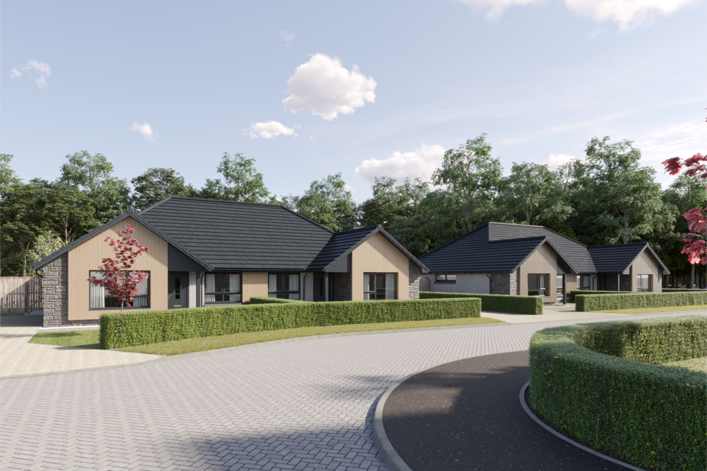 Ballagan woods, killearn