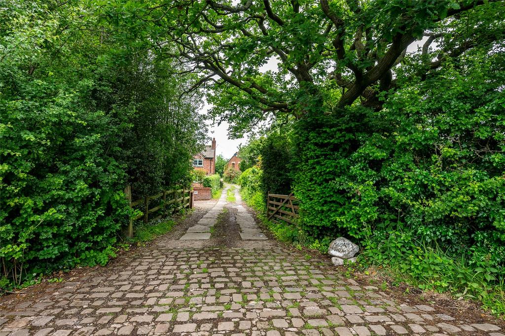 Driveway