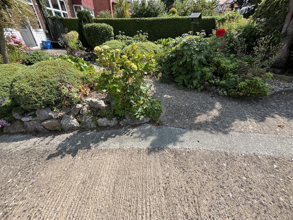 IMG 7921.jpg