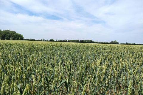 Land for sale, Mickfield, Stowmarket, Suffolk, IP14